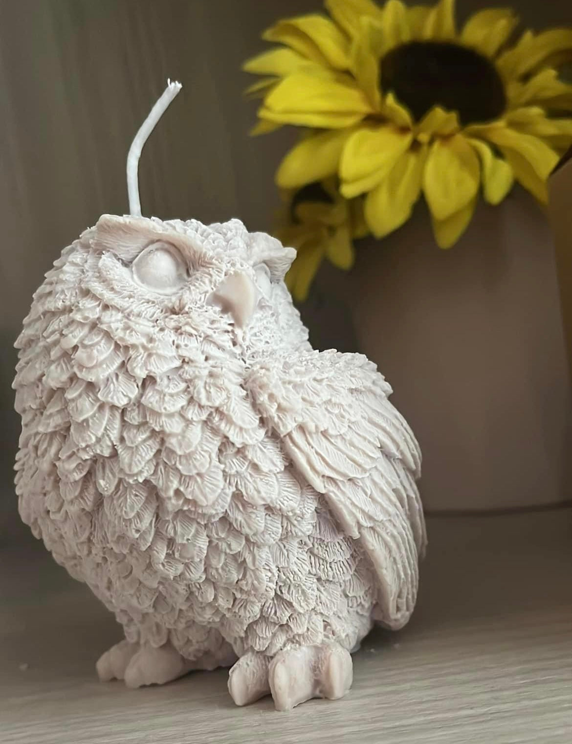Gufo elegante 🦉
