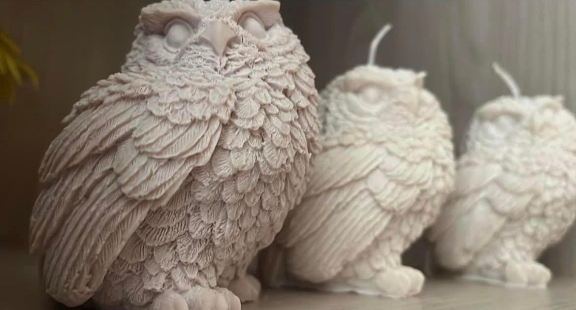 Gufo elegante 🦉