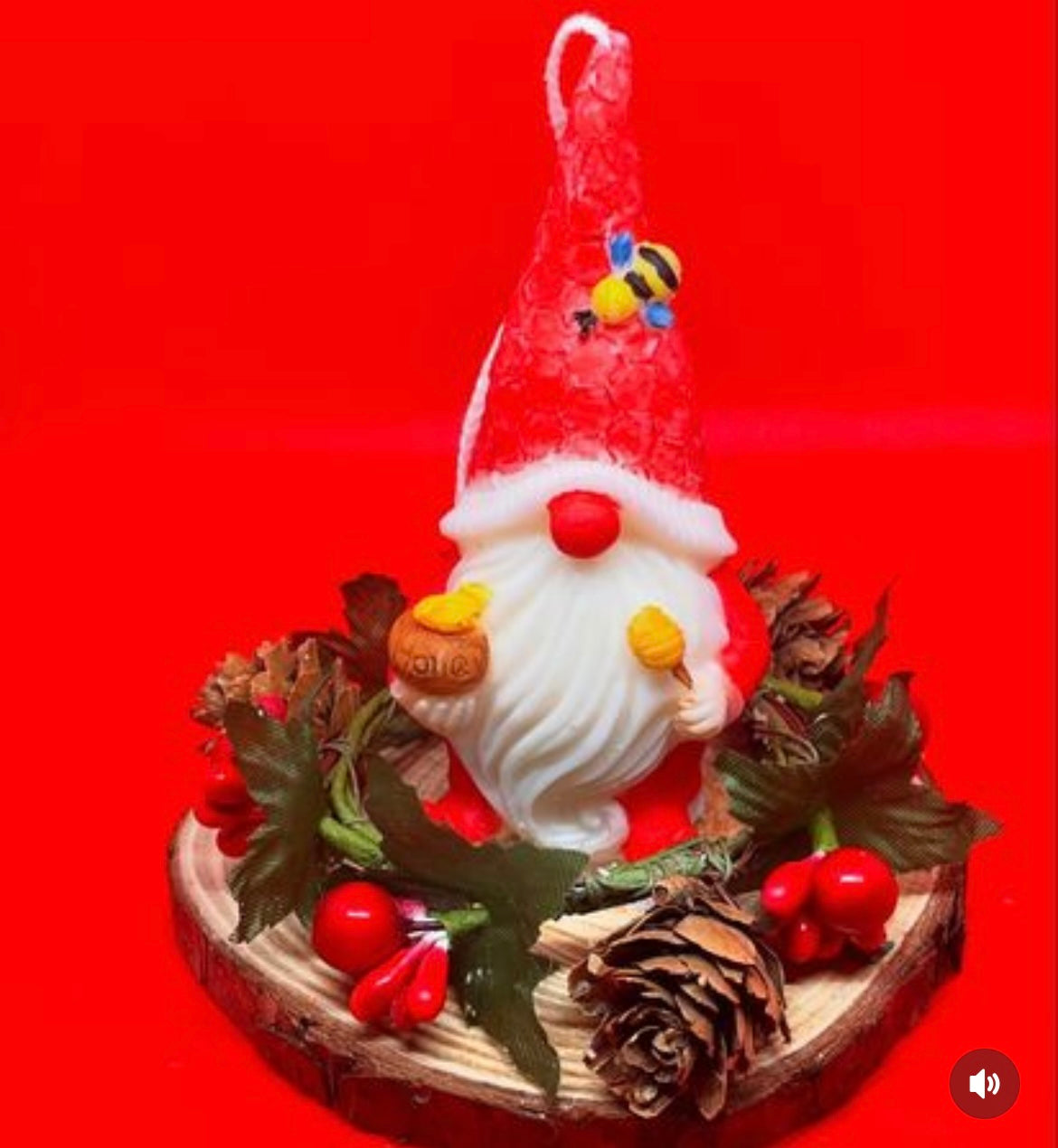 Gnometto del Miele 🍯 in confezione