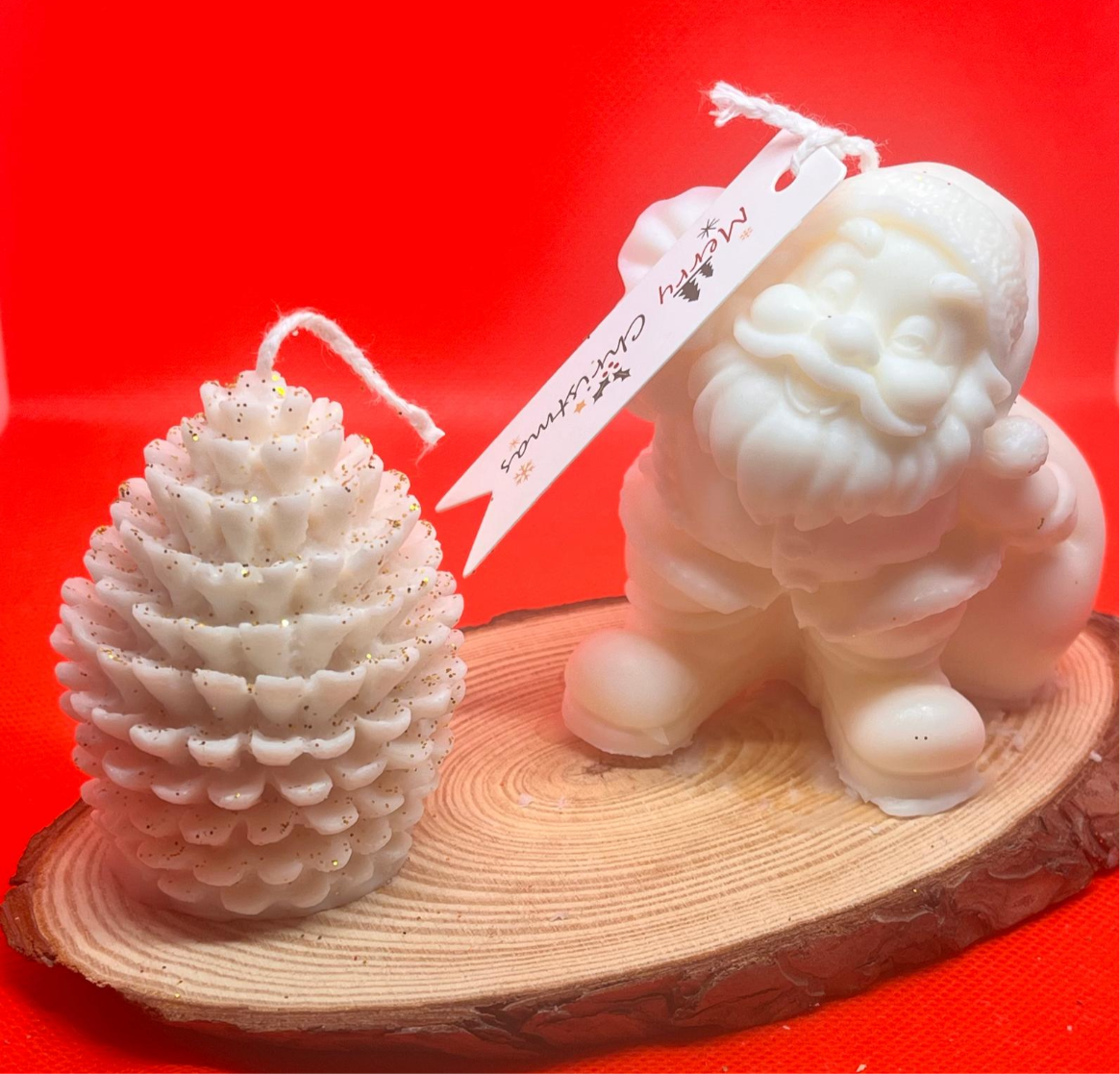 Confezione regalo Babbo Natale e pigna su tronco