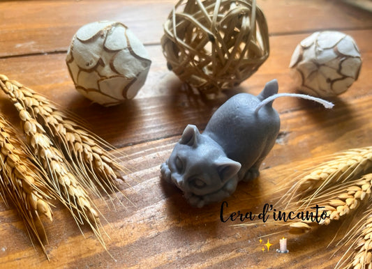 Milo il gattino πββ¬