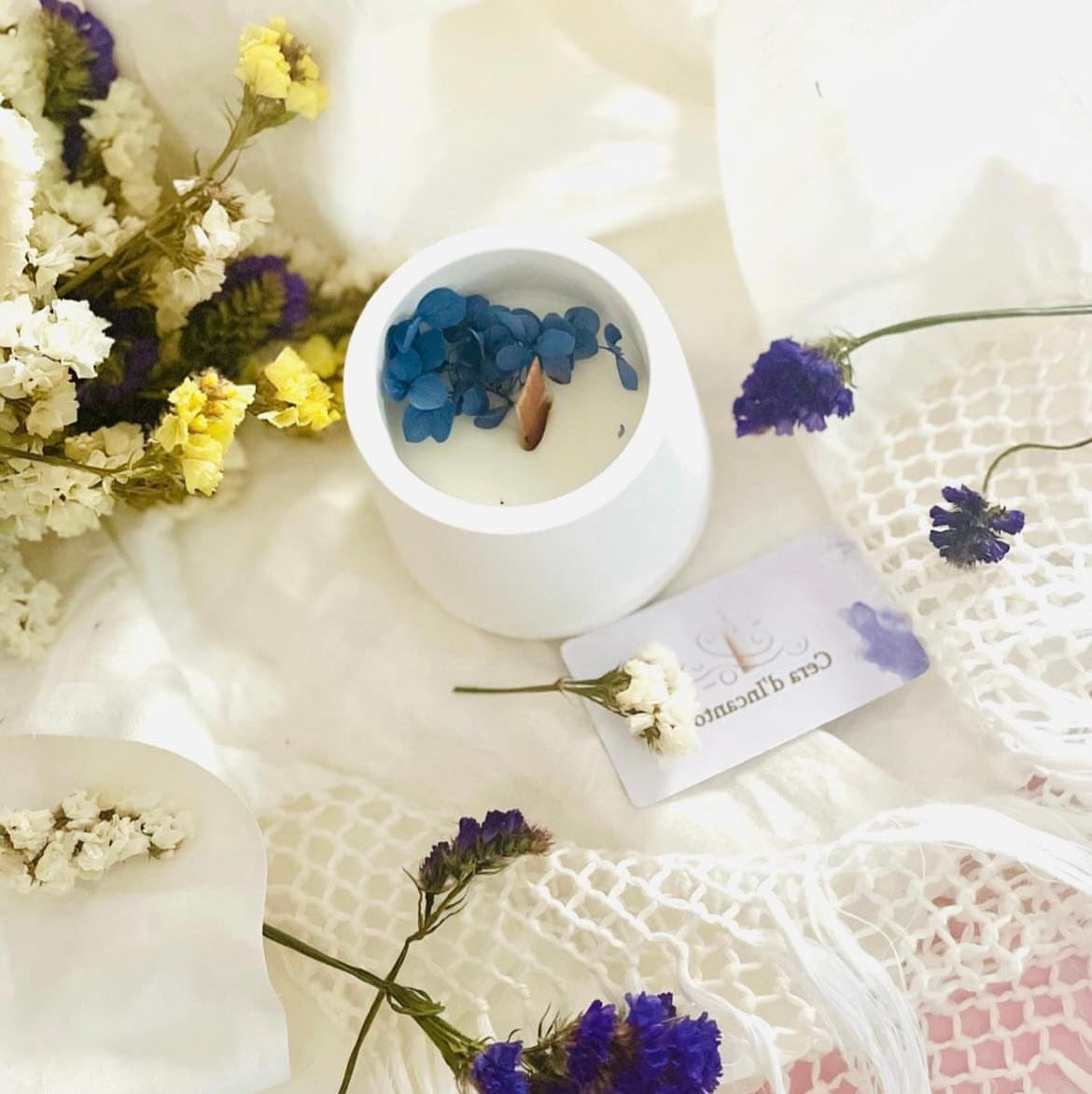 🦋sogno blu 🦋