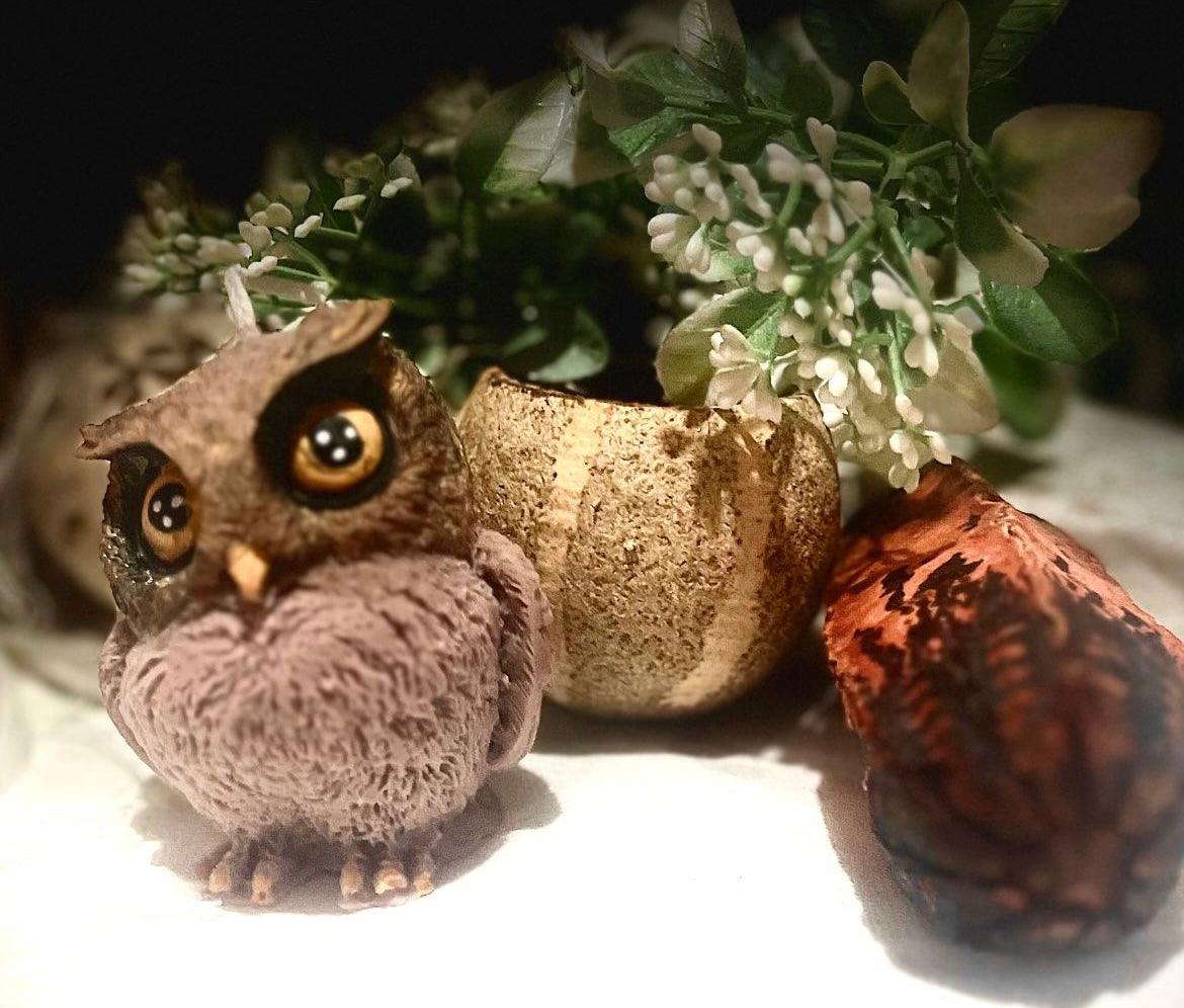Gufetto 🦉