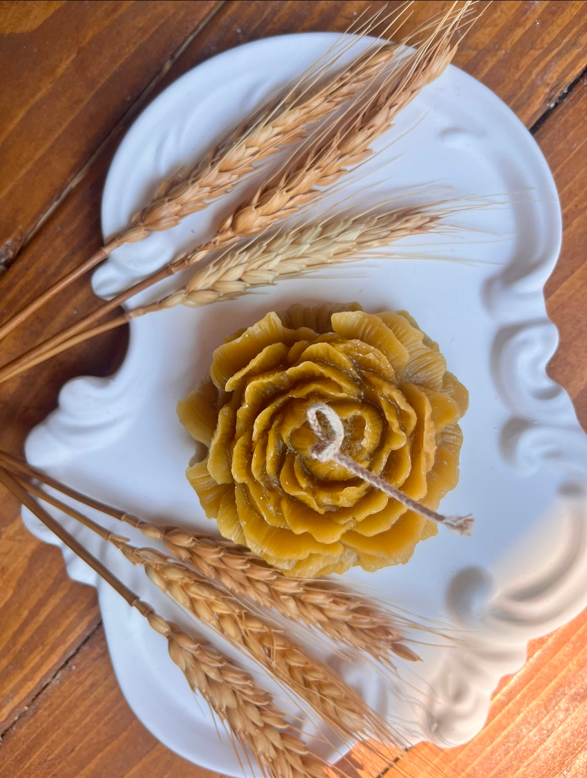 Peonia in cera d api 🐝 🍯