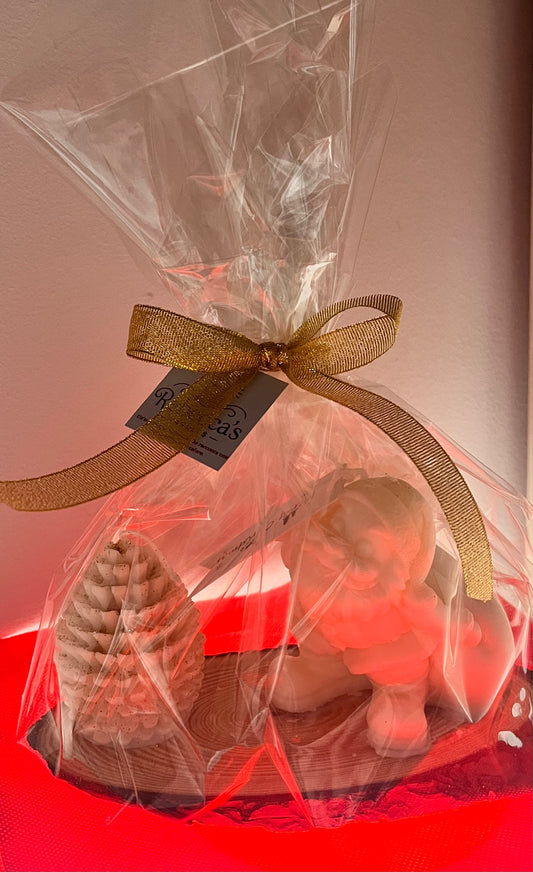 Confezione regalo Babbo Natale e pigna su tronco