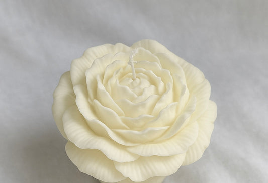 Peonia Imperiale 🌹