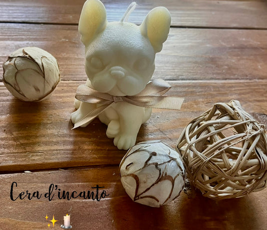 Bulldog francese 🐶