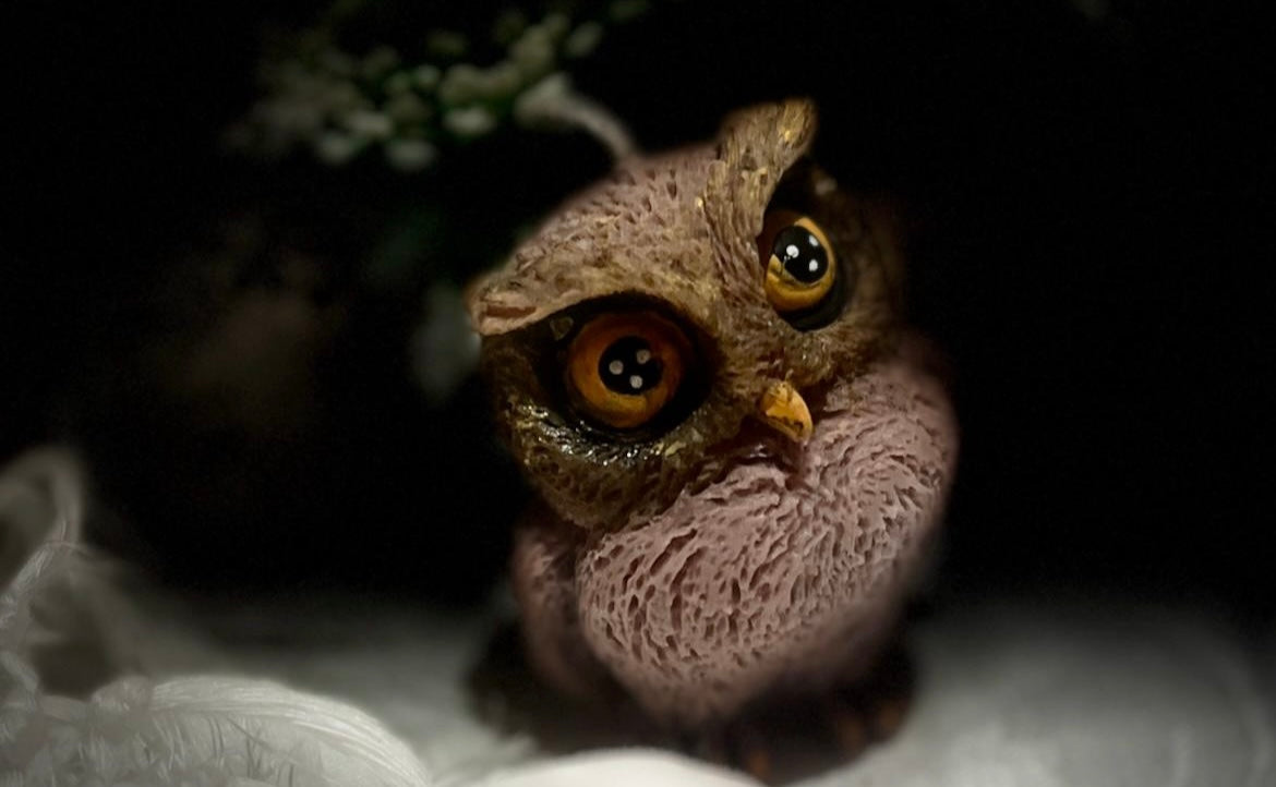 Gufetto 🦉