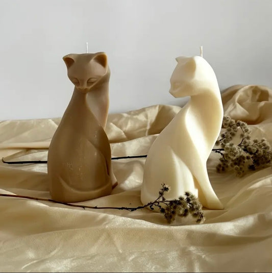 Gatto elegante 🐈⬛