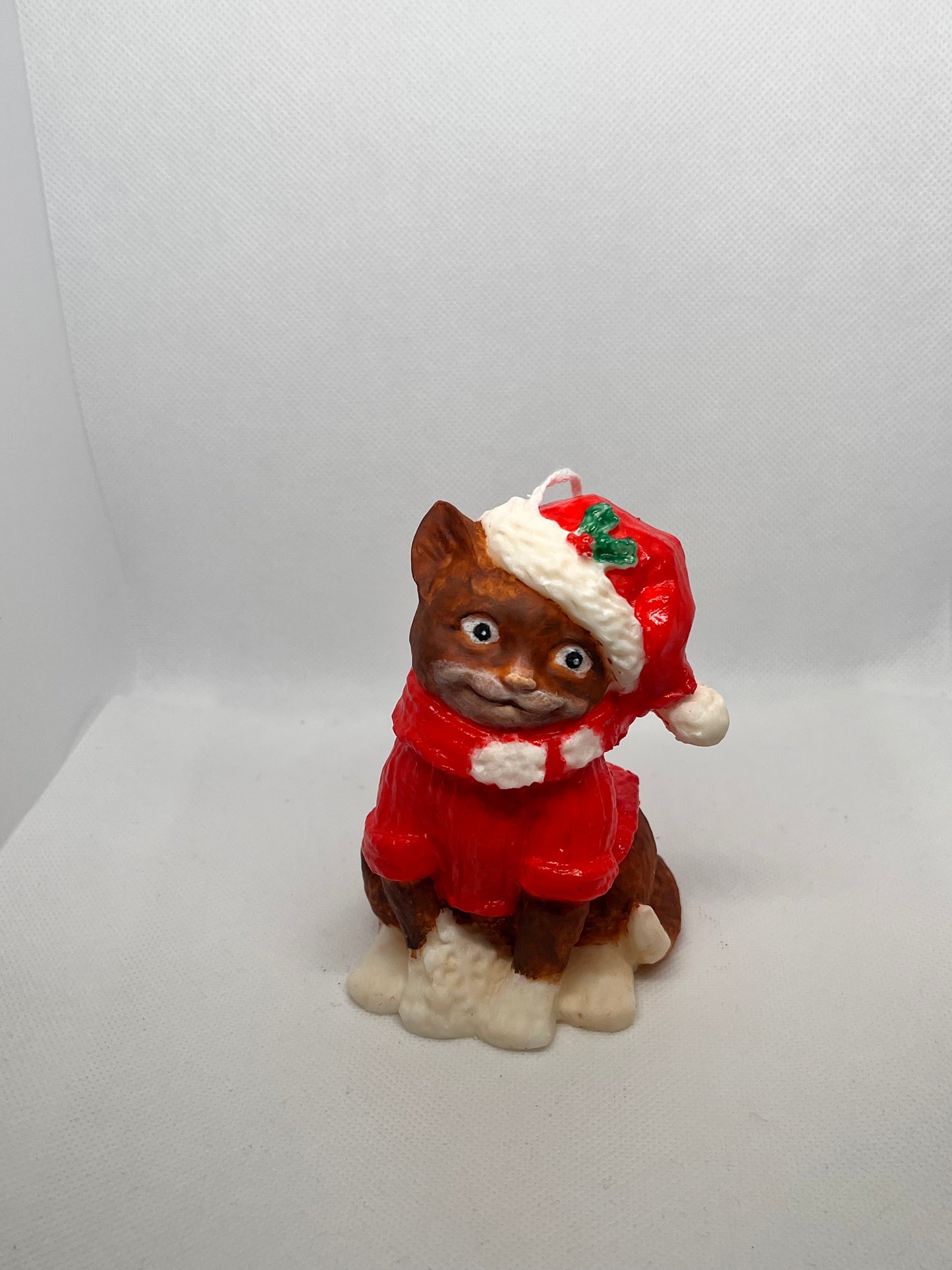 Gatto Magia di Natale 🎄
