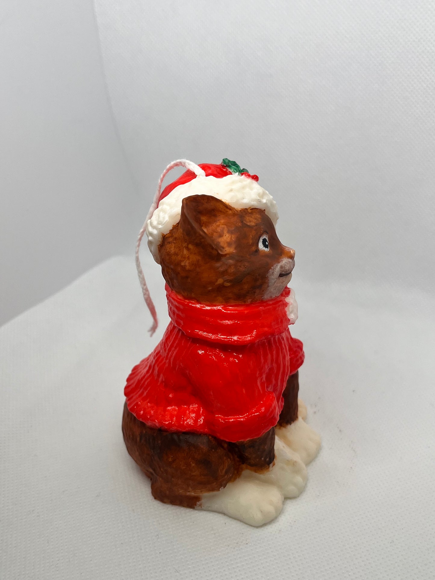 Gatto Magia di Natale 🎄