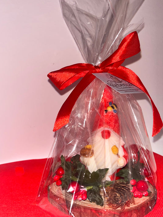 Gnometto del Miele 🍯 in confezione