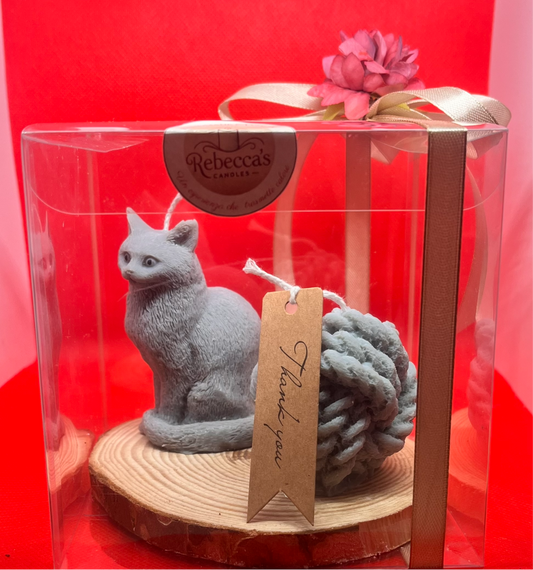 Confezione regalo gatto 🐱 con gomitolo 🧶