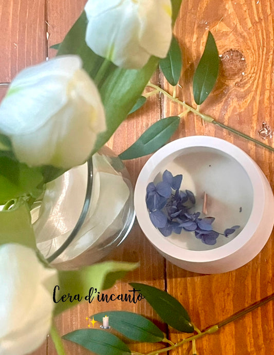 🦋sogno blu 🦋