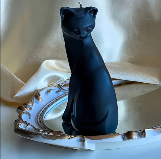 Gatto elegante  🐈‍⬛