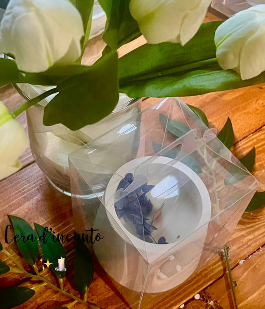 🦋sogno blu 🦋