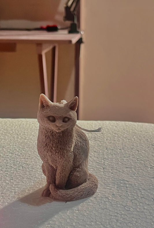 Felix  🐈‍⬛