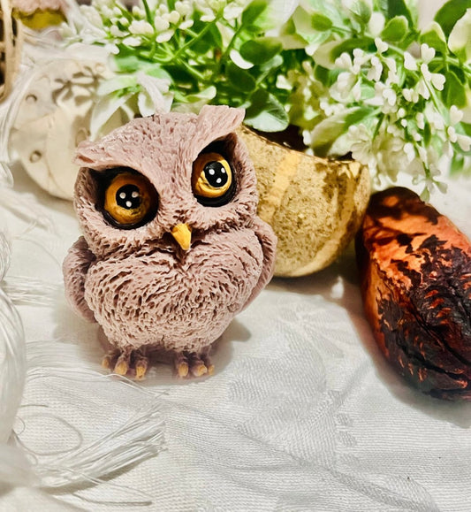 Gufetto 🦉