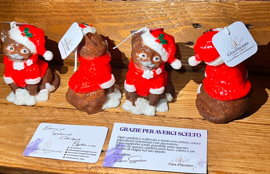 Gatto Magia di Natale 🎄