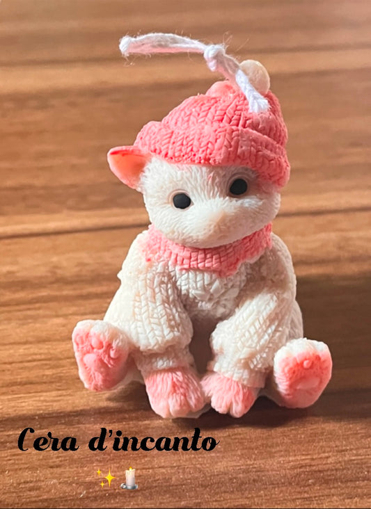 Gattino invernale 🧣🧢🧤