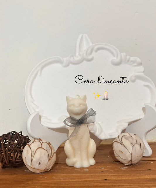 Gatto chic 🐈